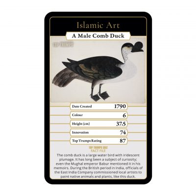 Top Trumps Islamic Art Cover - A Male Comb Duck